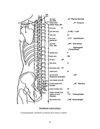 Meridianul vezicii urinare.
Corespondenţele vertebrale cu literele devin atunci evidente.
PAE
LAO
DA SHU „R” Marea Navet .ă
Os ITM
FENG MEN „P” Fong la
c ile resp. JMă
FEI SHU P
JUE INN SHU „F.MC.” I.O4
XIN SHU Cr
DU SHU „T.F” asentiment
general
GE SHU „SP” Dos-Sang
Tch. Mo
Diafragmă
„Yang Ming”
GANN SHU F
DAN SHU VB
PI SHU SP
WEI SHU S
SAN JIAO SHU TF
SHEN SHU R
QI HAI SHU „IG”
Oceanul energiei
DA CHANG SHU IG
GUAN ZUAN SHU „IS” Bariera
sursei
XIAO CHANG SHU IS
PANG GUANG SHU V
ZONG LU SHU “V” Transpira ieţ
(femei)
BAI HUAN SHU „VB” Ginecologie
83
 