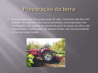 Preparação da terraÉ necessário uma boa preparação de solo. O terreno não deve ter  torrões. Ao contrário das outras hortaliças, a incorporação dos fertilizantes não poderá ser profunda, pois as raízesda alface são superficiais e ramificadas. Da mesma forma, não há necessidade de lavrar muito fundo.