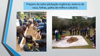 Preparo do solo( adubação orgânica): esterco de
vaca, folhas, palha de milho e calcário.
 