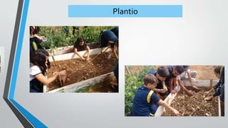Plantio
 