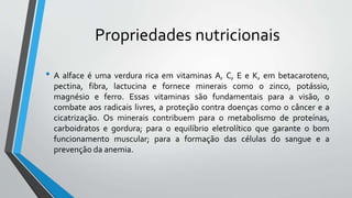 Propriedades nutricionais
• A alface é uma verdura rica em vitaminas A, C, E e K, em betacaroteno,
pectina, fibra, lactucina e fornece minerais como o zinco, potássio,
magnésio e ferro. Essas vitaminas são fundamentais para a visão, o
combate aos radicais livres, a proteção contra doenças como o câncer e a
cicatrização. Os minerais contribuem para o metabolismo de proteínas,
carboidratos e gordura; para o equilíbrio eletrolítico que garante o bom
funcionamento muscular; para a formação das células do sangue e a
prevenção da anemia.
 