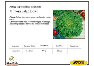 Alface Especialidade Peletizada
Mimosa Salad Bowl
Planta: folhas lisas, recortadas e coloração verde-
clara.
Características: não ocorre formação de cabeça.
Bastante precoce e apresenta boa uniformidade.




   Coloração     Tamanho Médio        Peso Médio      Ciclo Médio   Resistência


   verde-clara     36 x 20 cm           400 g           60 dias           -
 