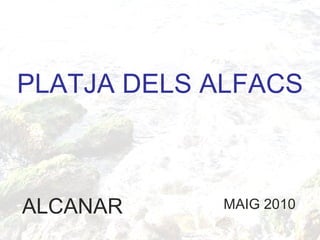 PLATJA DELS ALFACS ALCANAR MAIG 2010 