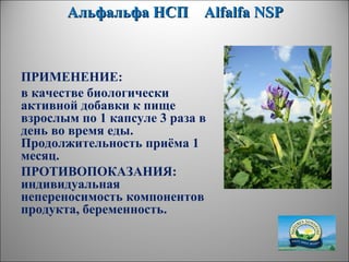 Альфальфа НСПАльфальфа НСП AlfalfaAlfalfa NSPNSP
ПРИМЕНЕНИЕ:
в качестве биологически
активной добавки к пище
взрослым по 1 капсуле 3 раза в
день во время еды.
Продолжительность приёма 1
месяц.
ПРОТИВОПОКАЗАНИЯ:
индивидуальная
непереносимость компонентов
продукта, беременность.
 
