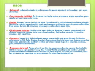 usos
 •Colesterol. reduce el colesterol en la sangre. Se puede consumir en licuados y con otros
alimentos.
 •Convalecencia, debilidad. En licuados con leche entera, o preparar sopas o papillas, pues
resulta un buen reconstituyente.
 •Herpes. Ponga a hervir un vaso de agua. Cuando esté lo suficientemente caliente póngale
la avena y cuando haya obtenido una mezcla espesa, colóquela sobre las partes afectadas.
Deje actuar durante 30 minutos y enjuague con abundante agua tibia.
 •Picaduras de insectos. Se hierve un vaso de leche. Agregue la avena y remueva hasta
obtener una pasta espesa. Unte sobre los piquetes y deje actuar durante 15 minutos.
enjuague con agua tibia.
 •Ronquera. hierva 50 g de hojuelas de avena en medio litro de agua durante 5 minutos,
deje que se enfrié. Beba 3 tazas de esta infusión durante el día hasta que desaparezcan las
molestias. Este remedio también es ideal para los dolores de pecho, catarros, tos seca,
gota y enfermedades renales.
 •Trastornos de la piel. Ponga a hervir un litro de agua ycuando este a punto de ebullición
retire del fuego, agregue la avena y deje reposar hasta que el agua se entibie. Lave las
partes afectadas con esta infusión sin utilizar jabón alguno. Una vez por la mañana y una
vez por la noche, hasta que las erupciones o las manchas desaparezcan
 