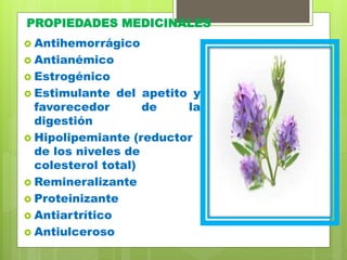PROPIEDADES MEDICINALES
 Antihemorrágico
 Antianémico
 Estrogénico
 Estimulante del apetito y
favorecedor de la
digestión
 Hipolipemiante (reductor
de los niveles de
colesterol total)
 Remineralizante
 Proteinizante
 Antiartrítico
 Antiulceroso
 
