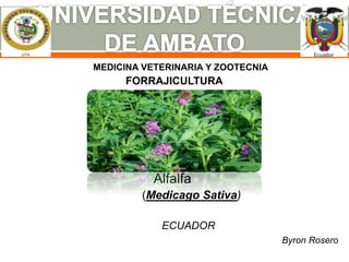 MEDICINA VETERINARIA Y ZOOTECNIA 
FORRAJICULTURA 
Alfalfa 
(Medicago Sativa) 
ECUADOR 
Byron Rosero 
 