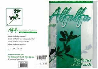 Alfalfa   the father of all food (thai)