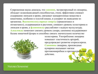 Современная наука доказала, что сапонин, экстрагируемый из люцерны,
обладает шлаковыводящей способностью, очень эффективно снижает
содержание липидов в крови, связывает канцерогенные вещества в
кишечнике, особенно в толстой кишке, и ускоряет их выведение из
организма. Высокомолекулярные спирты (триаконтанол и
октакозанол), содержащиеся в растении, снижают уровень холестерина и
липидов в крови, а флавоноиды расслабляют гладкую мускулатуру.
Алкалоиды помогают снизить уровень сахара, сапонины поддерживают
баланс кишечной флоры и способны связать значительное количество
холестерина. Употребление люцерны
повышает эластичность артерий,
предупреждает развитие атеросклероза.
Сапонины люцерны, производные
кумарина оказывают мягкое
противомикробное и противогрибковое
действие.
 