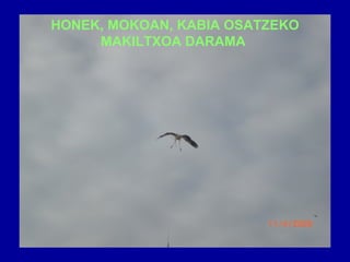 HONEK, MOKOAN, KABIA OSATZEKO MAKILTXOA DARAMA   