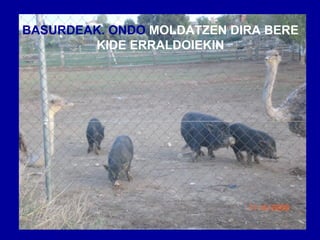 BASURDEAK. ONDO  MOLDATZEN DIRA BERE KIDE ERRALDOIEKIN 