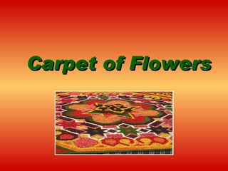 Carpet of Flowers   