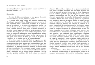 Labios Rombicos Compendio de embriologia | PDF