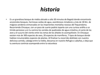 historiaEs un grandioso bosque de niebla ubicado a sólo 30 minutos de Bogotá donde encontrarás ancestrales bosques, hermosas caídas de agua, asombrosos miradores y más de 18 Km. de mágicos senderos enmarcados en las imponentes montañas rocosas del Tequendama. Recorriendo Chicaque, con un poco de suerte podrás toparte con una curiosa ardilla o un tímido perezoso y en tu camino los sonidos de quebradas de agua cristalina, el canto de las aves y el susurro del viento entre las ramas de los árboles te acompañarán. En Chicaque existen más de 300 especies de aves, 20 especies de mamíferos, 7 tipos de bosque donde habitan innumerables especies de plantas. Al finalizar tu recorrido deléitate con nuestra deliciosa comida, cabalga entre la niebla, descansa en nuestro Refugio o cabañas, o deja que tu aventura continúe acampando entre la naturaleza
