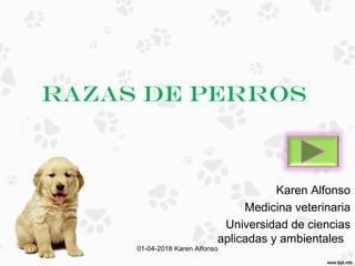 Razas de perros
Karen Alfonso
Medicina veterinaria
Universidad de ciencias
aplicadas y ambientales
01-04-2018 Karen Alfonso
 