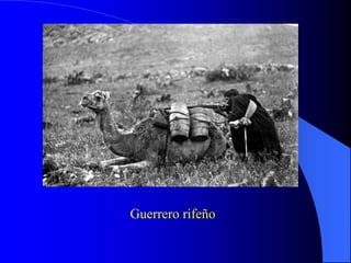 Guerrero rifeño
 