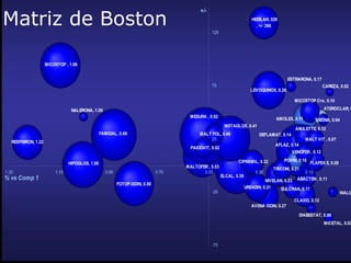 Matriz de Boston 