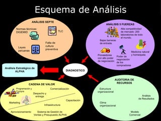 Esquema de Análisis DIAGNOSTICO ANÁLISIS 5 FUERZAS Alta competitividad  de mercado: 200 laboratorios de todo  el mundo. Proveedores con alto poder de negociación Poder de negociación de los compradores Medicina natural y homeópata CADENA DE VALOR Programación y Compra Comercialización Despacho y entrega AUDITORIA DE RECURSOS Estructura  organizacional Clima organizacional Modelo Comercial ANÁLISIS SEPTE TLC Leyes peruanas Falta de cultura preventiva Normas técnicas: DIGEMID Bajas barreras de entrada. Marketing Capacitación Aprovisionamiento Infraestructura Sistema de Gestión de  Ventas y Presupuesto ALPHA Análisis de Resultados Análisis Estratégico de ALPHA 