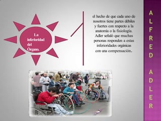 La
inferioridad
del
Órgano.
el hecho de que cada uno de
nosotros tiene partes débiles
y fuertes con respecto a la
anatomía o la fisiología.
Adler señaló que muchas
personas responden a estas
inferioridades orgánicas
con una compensación.
 