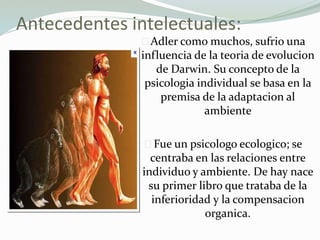 Antecedentes intelectuales:
Adler como muchos, sufrio una
influencia de la teoria de evolucion
de Darwin. Su concepto de la
psicologia individual se basa en la
premisa de la adaptacion al
ambiente
Fue un psicologo ecologico; se
centraba en las relaciones entre
individuo y ambiente. De hay nace
su primer libro que trataba de la
inferioridad y la compensacion
organica.
 