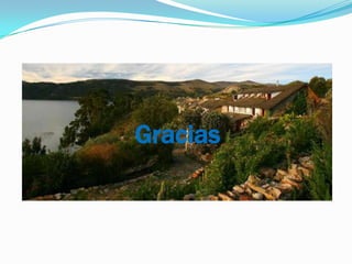 Gracias
 