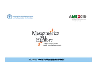 Twitter:	#MesoamericasinHambre
 