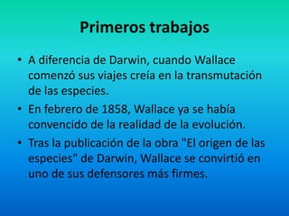 Primeros trabajos
• A diferencia de Darwin, cuando Wallace
comenzó sus viajes creía en la transmutación
de las especies.
• En febrero de 1858, Wallace ya se había
convencido de la realidad de la evolución.
• Tras la publicación de la obra "El origen de las
especies" de Darwin, Wallace se convirtió en
uno de sus defensores más firmes.

 