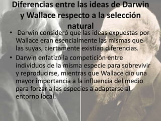 Diferencias entre las ideas de Darwin
y Wallace respecto a la selección
natural

• Darwin consideró que las ideas expuestas por
Wallace eran esencialmente las mismas que
las suyas, ciertamente existían diferencias.
• Darwin enfatizó la competición entre
individuos de la misma especie para sobrevivir
y reproducirse, mientras que Wallace dio una
mayor importancia a la influencia del medio
para forzar a las especies a adaptarse al
entorno local.

 