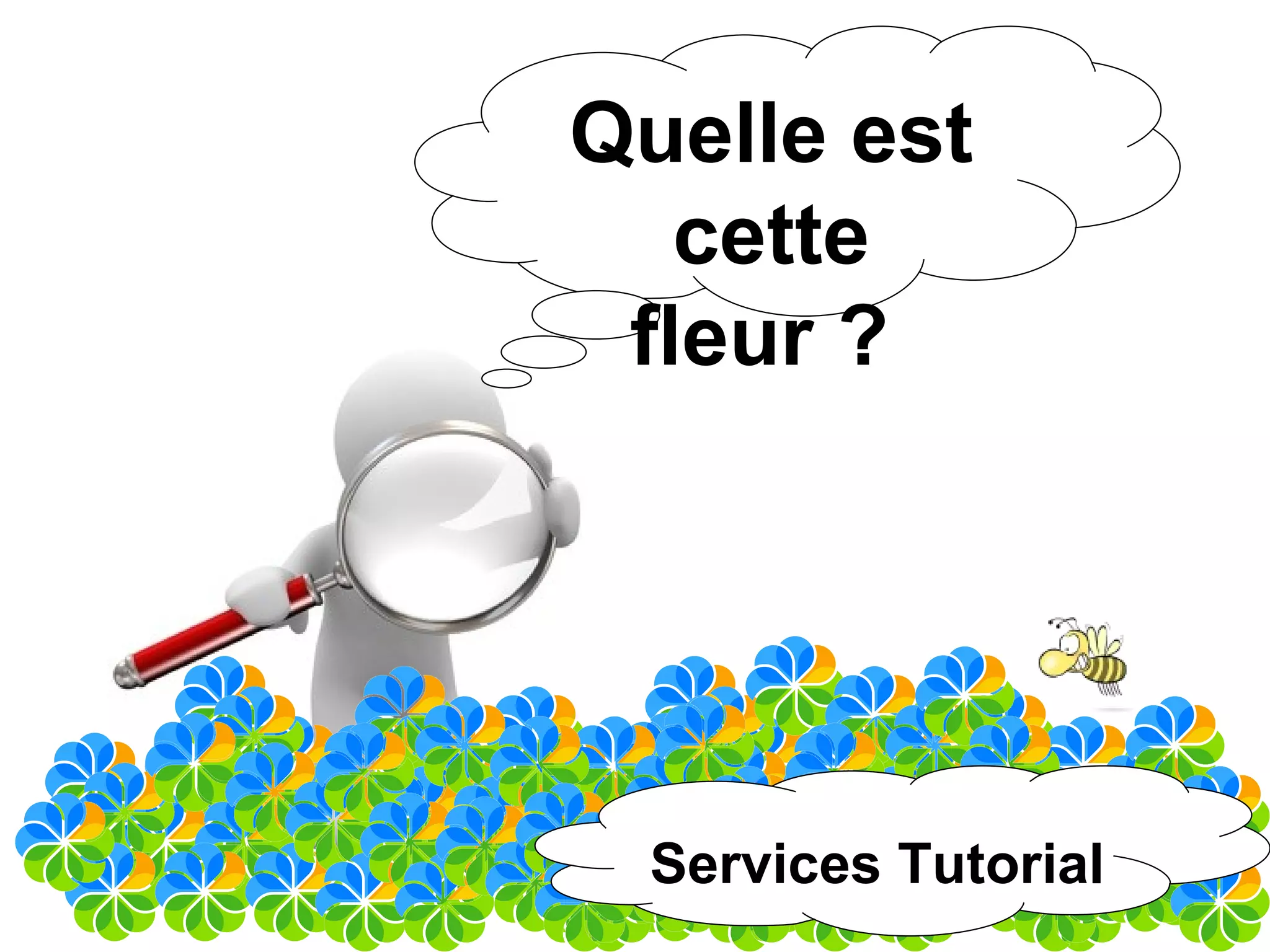 Alfresco en quelques points : Services Tutorial