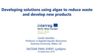 Carole Llewellyn
Professor in Applied Aquatic Bioscience
Swansea University, Wales, UK
SALTGAE FINAL EVENT, Ljubljana
25 September 2019
Developing solutions using algae to reduce waste
and develop new products
 