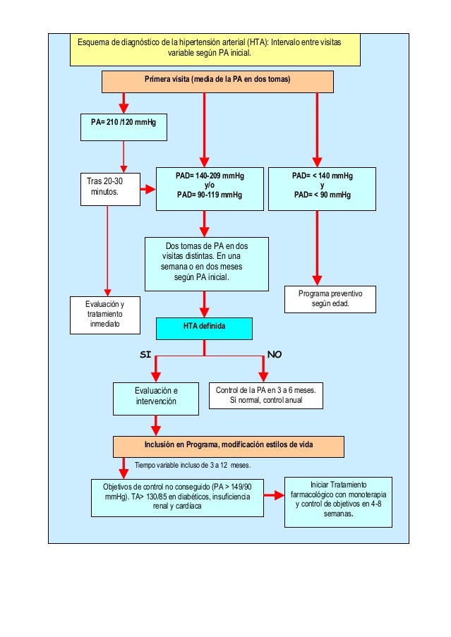 Esquema de diagnóstico de la hipertensión arterial (HTA): Intervalo ...