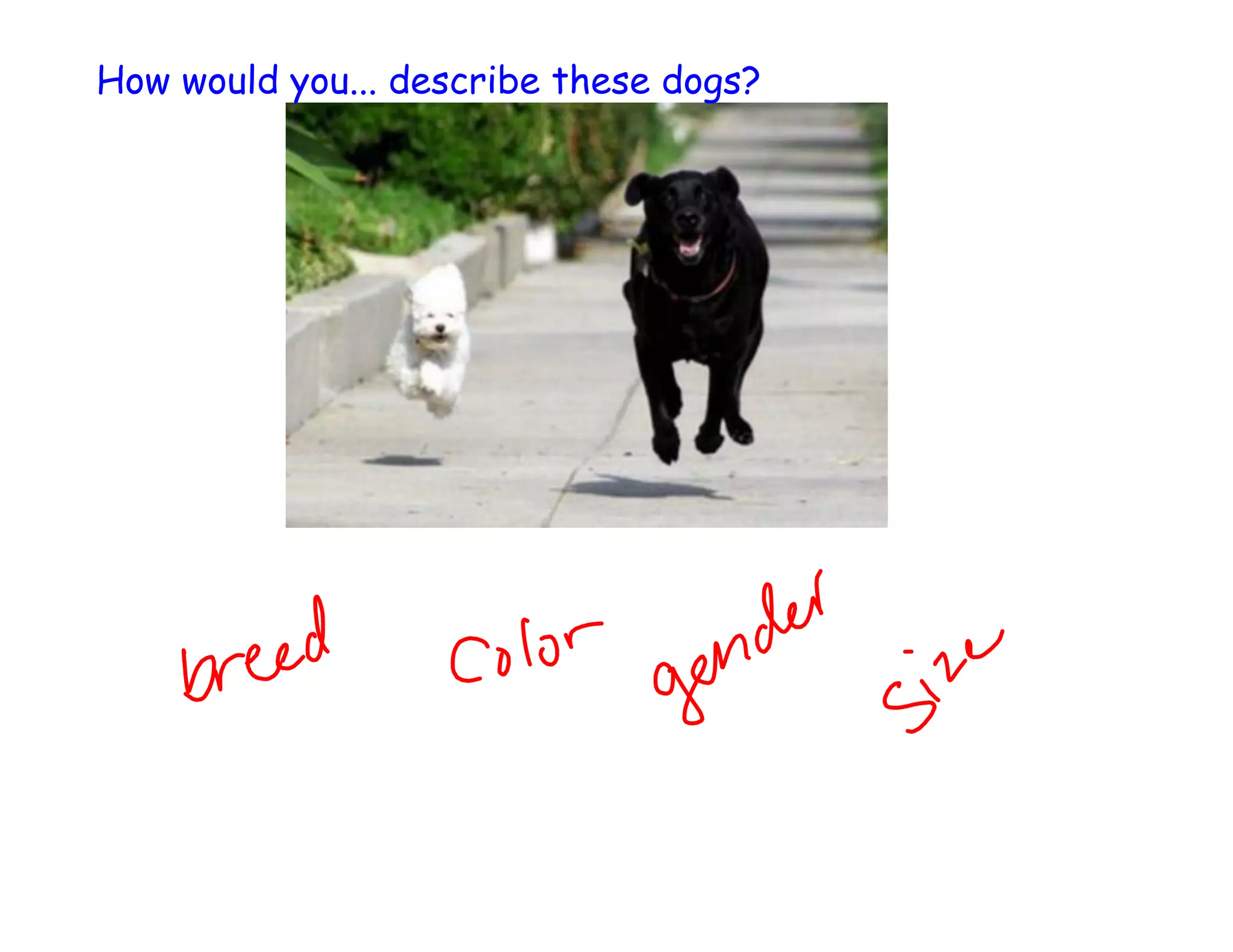 How would you... describe these dogs?

 