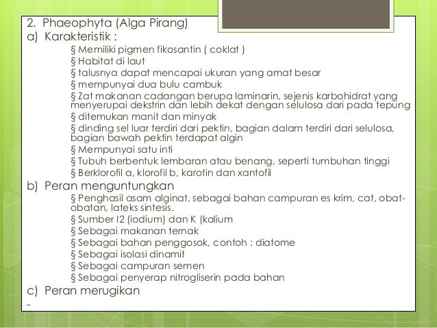 Alga kelompok