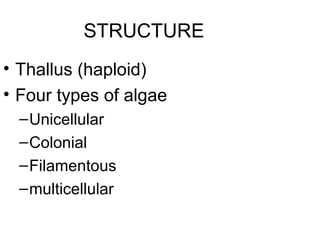 STRUCTURE
• Thallus (haploid)
• Four types of algae
  – Unicellular
  – Colonial
  – Filamentous
  – multicellular
 