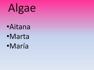Algae
•Aitana
•Marta
•María
 
