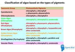 Classification of algae based on the types of pigments
Taxonomic Group                Photosynthetic Pigments
                               chlorophyll a, chlorophyll
Cyanobacteria
                               c, phycocyanin, phycoerythrin
Chloroxybacteria               chlorophyll a, chlorophyll b
Green Algae
                               chlorophyll a, chlorophyll b, carotenoids
(Chlorophyta)
Red Algae                     chlorophyll a, phycocyanin, phycoerythrin,
(Rhodophyta)                  phycobilins
                              chlorophyll a, chloorphyll c, fucoxanthin and
Brown Algae (Phaeophyta)
                              other carotenoids
Golden-brown Algae            chlorophyll a, chlorophyll c, fucoxanthin and
(Chrysophyta)                 other carotenoids
                              chlorophyll a, chlorophyll c, peridinin and
Dinoflagellates (Pyrrhophyta)
                              other carotenoids
Vascular Plants               chlorophyll a, chlorophyll b, carotenoids
 