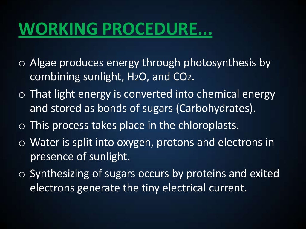 Energy From Algae Using Microbial Fuel Cells