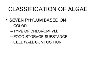CLASSIFICATION OF ALGAE 
• SEVEN PHYLUM BASED ON 
– COLOR 
– TYPE OF CHLOROPHYLL 
– FOOD-STORAGE SUBSTANCE 
– CELL WALL COMPOSITION 
 