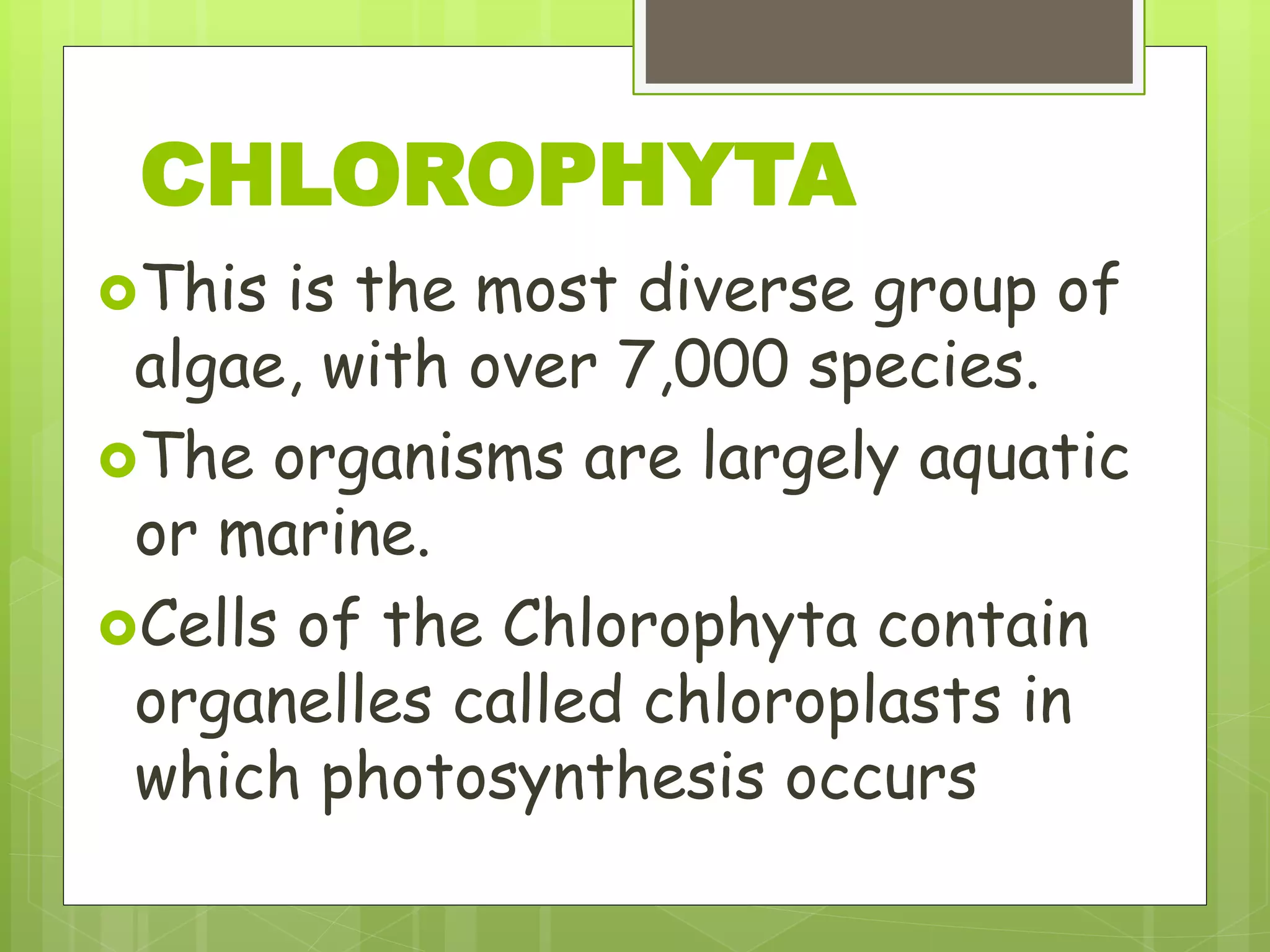 This is the most diverse group of
algae, with over 7,000 species.
The organisms are largely aquatic
or marine.
Cells of the Chlorophyta contain
organelles called chloroplasts in
which photosynthesis occurs
CHLOROPHYTA
 