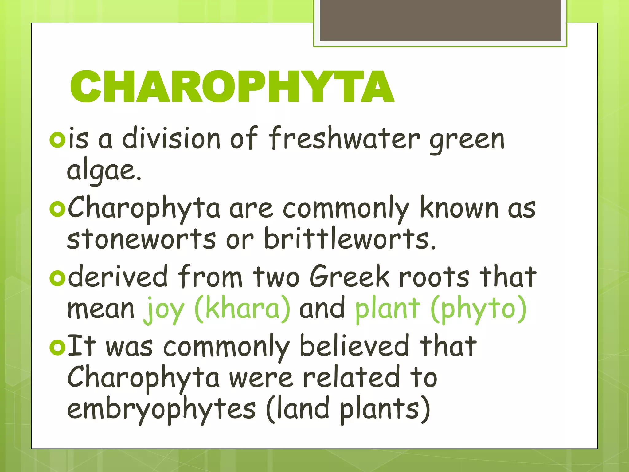 is a division of freshwater green
algae.
Charophyta are commonly known as
stoneworts or brittleworts.
derived from two Greek roots that
mean joy (khara) and plant (phyto)
It was commonly believed that
Charophyta were related to
embryophytes (land plants)
CHAROPHYTA
 