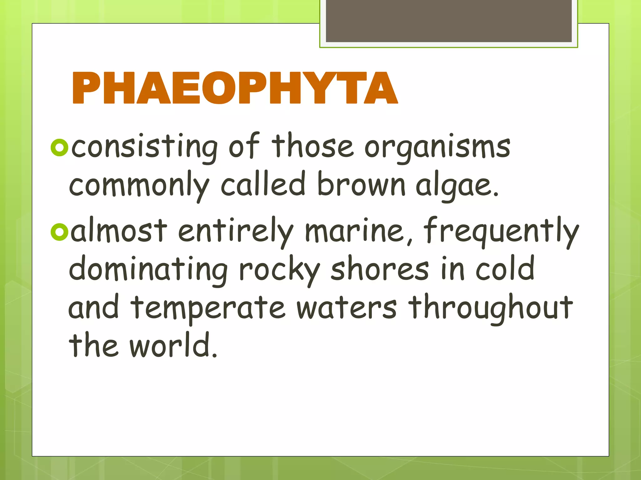 consisting of those organisms
commonly called brown algae.
almost entirely marine, frequently
dominating rocky shores in cold
and temperate waters throughout
the world.
PHAEOPHYTA
 