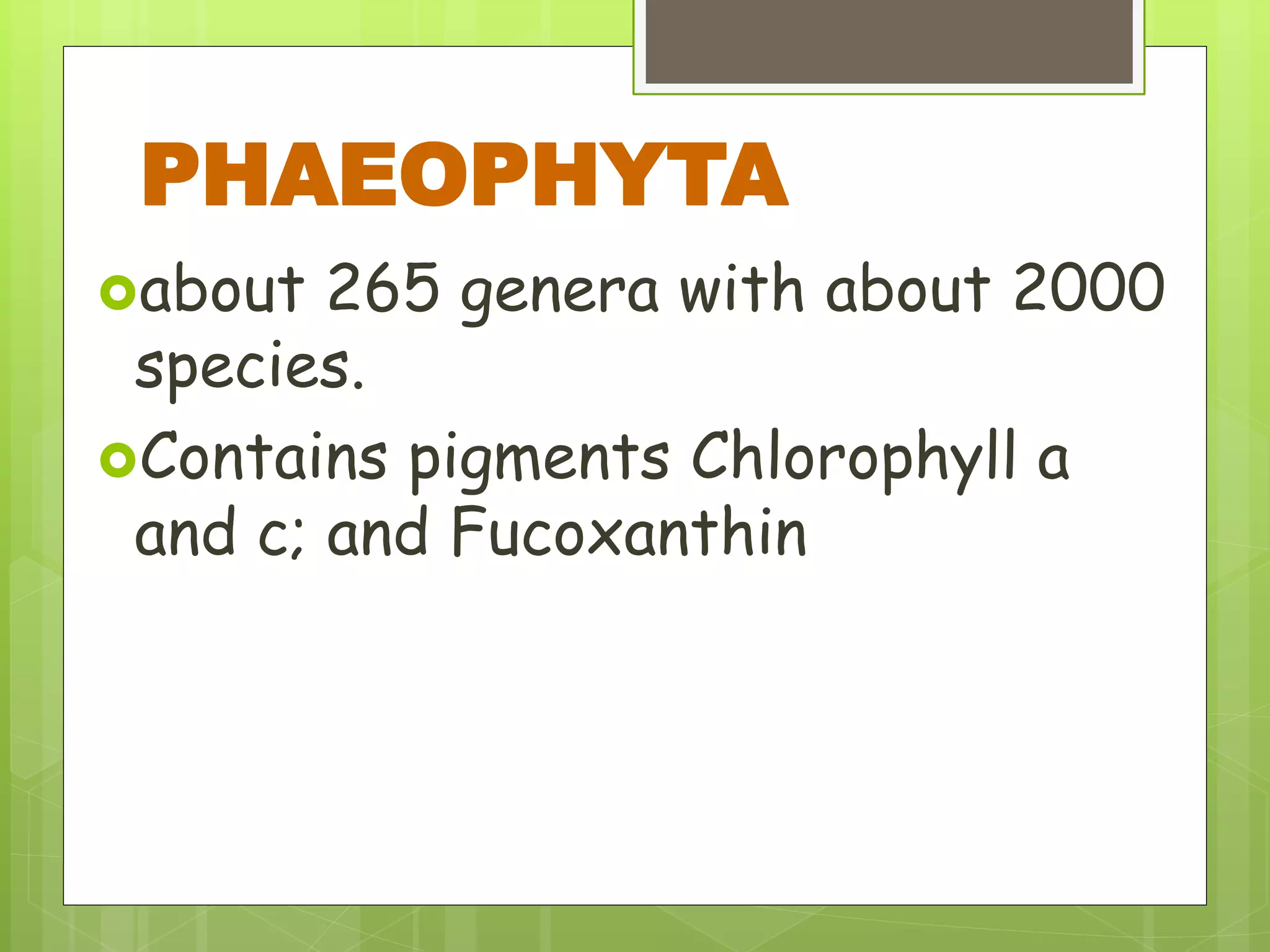 about 265 genera with about 2000
species.
Contains pigments Chlorophyll a
and c; and Fucoxanthin
PHAEOPHYTA
 