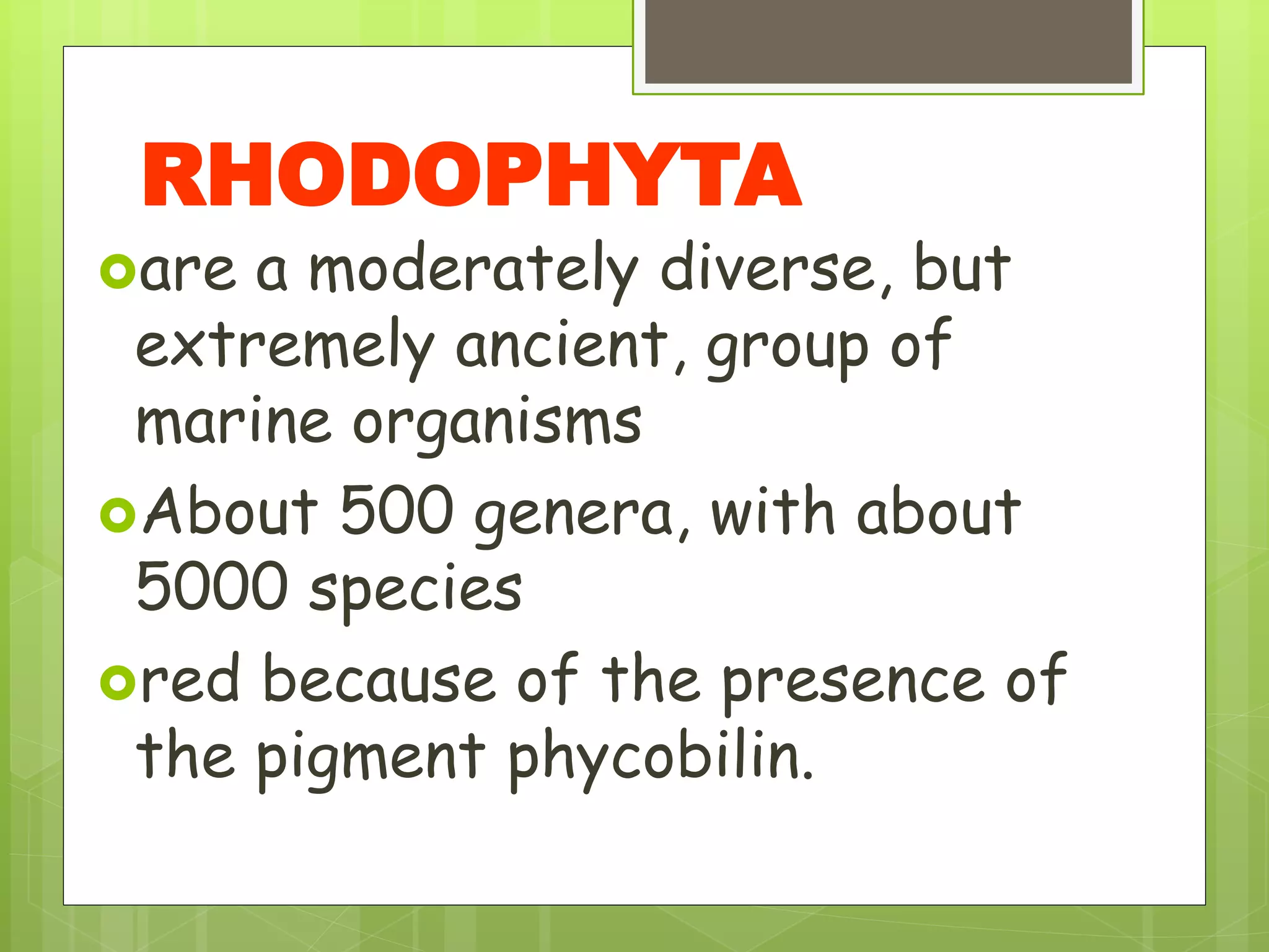 are a moderately diverse, but
extremely ancient, group of
marine organisms
About 500 genera, with about
5000 species
red because of the presence of
the pigment phycobilin.
RHODOPHYTA
 