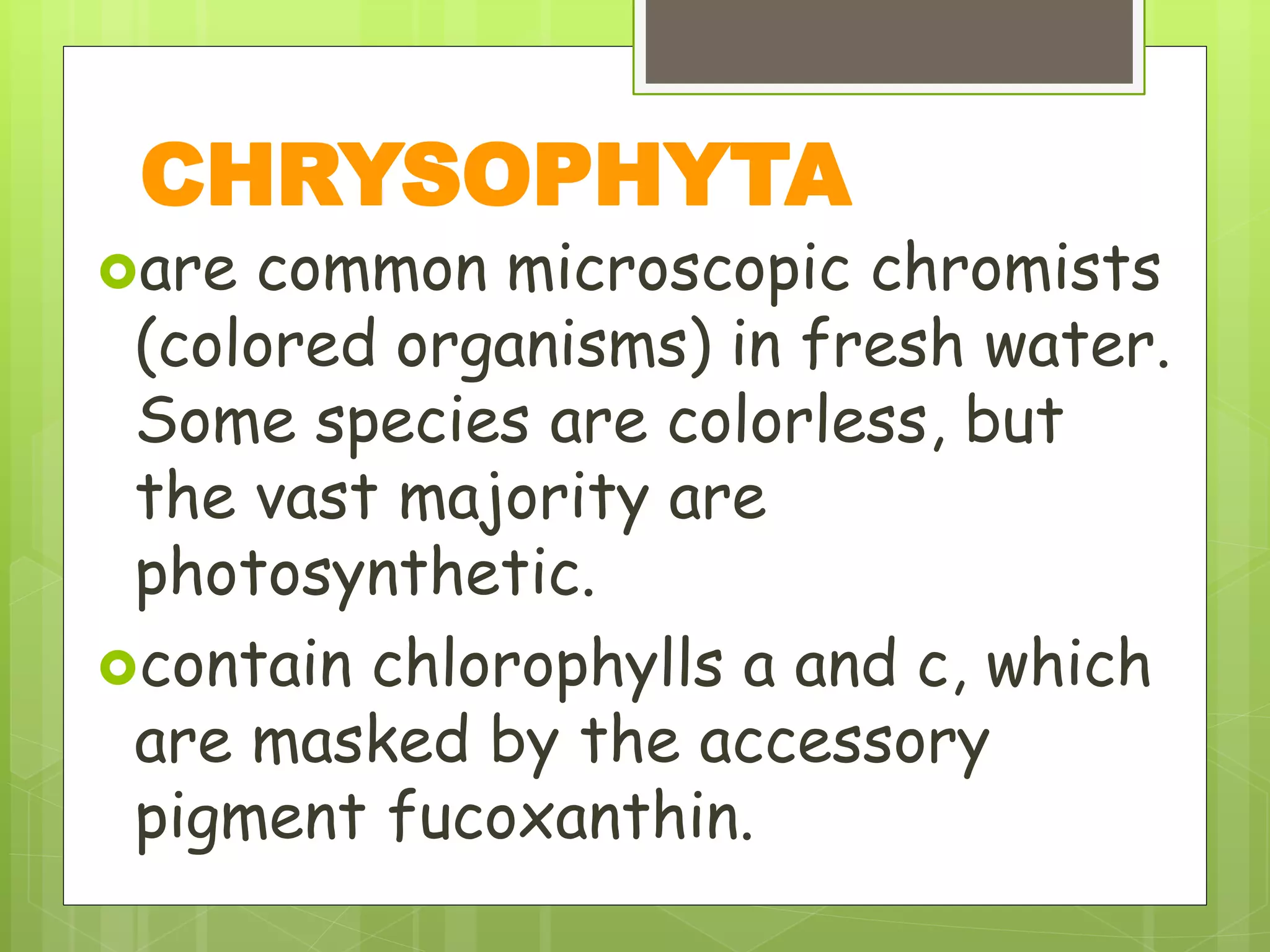 are common microscopic chromists
(colored organisms) in fresh water.
Some species are colorless, but
the vast majority are
photosynthetic.
contain chlorophylls a and c, which
are masked by the accessory
pigment fucoxanthin.
CHRYSOPHYTA
 