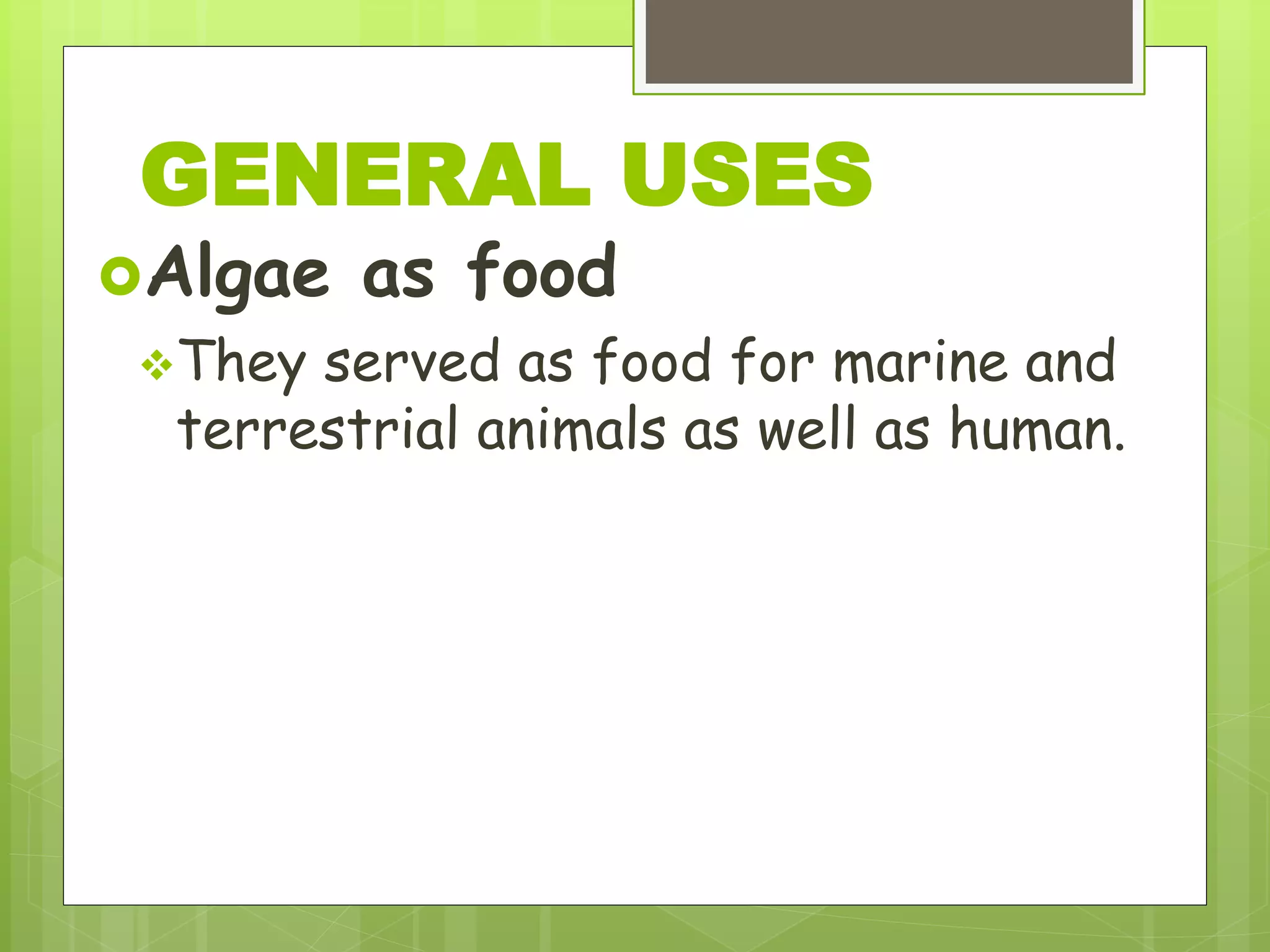 Algae as food
They served as food for marine and
terrestrial animals as well as human.
GENERAL USES
 
