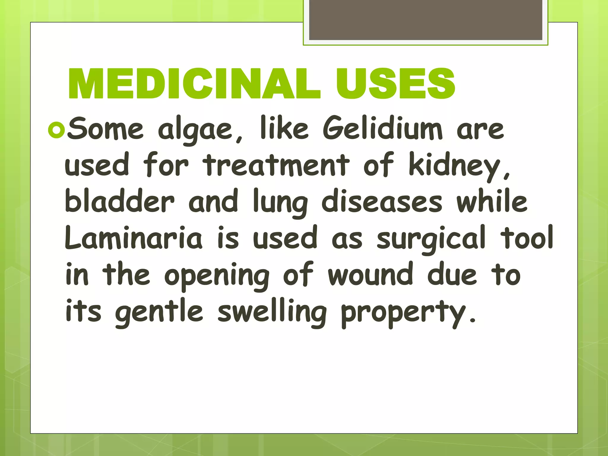 Some algae, like Gelidium are
used for treatment of kidney,
bladder and lung diseases while
Laminaria is used as surgical tool
in the opening of wound due to
its gentle swelling property.
MEDICINAL USES
 