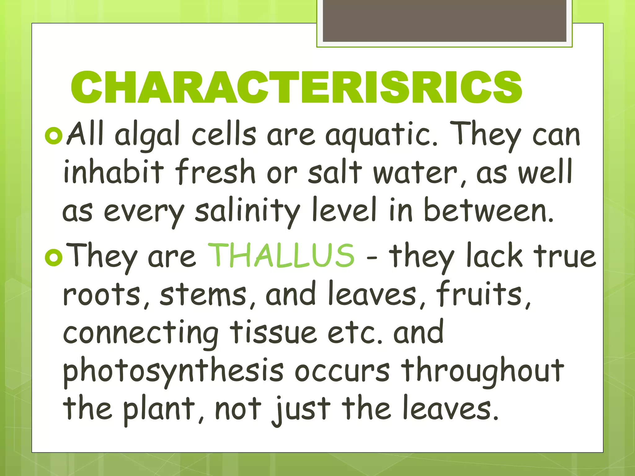 All algal cells are aquatic. They can
inhabit fresh or salt water, as well
as every salinity level in between.
They are THALLUS - they lack true
roots, stems, and leaves, fruits,
connecting tissue etc. and
photosynthesis occurs throughout
the plant, not just the leaves.
CHARACTERISRICS
 