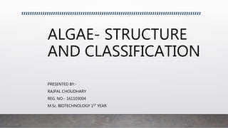ALGAE- STRUCTURE
AND CLASSIFICATION
PRESENTED BY:-
RAJPAL CHOUDHARY
REG. NO.- 161103004
M.Sc. BIOTECHNOLOGY 1ST YEAR
 