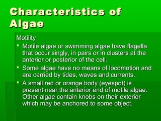 Characteristics ofCharacteristics of
AlgaeAlgae
MotilityMotility
 Motile algae or swimming algae have flagellaMotile algae or swimming algae have flagella
that occur singly, in pairs or in clusters at thethat occur singly, in pairs or in clusters at the
anterior or posterior of the cell.anterior or posterior of the cell.
 Some algae have no means of locomotion andSome algae have no means of locomotion and
are carried by tides, waves and currents.are carried by tides, waves and currents.
 A small red or orange body (eyespot) isA small red or orange body (eyespot) is
present near the anterior end of motile algae.present near the anterior end of motile algae.
Other algae contain knobs on their exteriorOther algae contain knobs on their exterior
which may be anchored to some object.which may be anchored to some object.
 