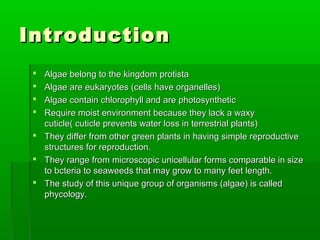IntroductionIntroduction
 Algae belong to the kingdom protistaAlgae belong to the kingdom protista
 Algae are eukaryotes (cells have organelles)Algae are eukaryotes (cells have organelles)
 Algae contain chlorophyll and are photosyntheticAlgae contain chlorophyll and are photosynthetic
 Require moist environment because they lack a waxyRequire moist environment because they lack a waxy
cuticle( cuticle prevents water loss in terrestrial plants)cuticle( cuticle prevents water loss in terrestrial plants)
 They differ from other green plants in having simple reproductiveThey differ from other green plants in having simple reproductive
structures for reproduction.structures for reproduction.
 They range from microscopic unicellular forms comparable in sizeThey range from microscopic unicellular forms comparable in size
to bcteria to seaweeds that may grow to many feet length.to bcteria to seaweeds that may grow to many feet length.
 The study of this unique group of organisms (algae) is calledThe study of this unique group of organisms (algae) is called
phycology.phycology.
 